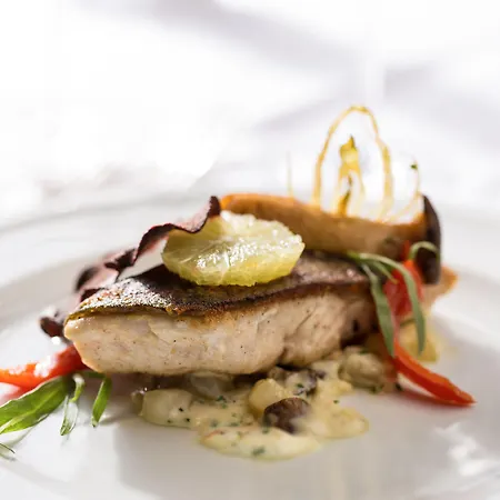 بريستول فندق 5*