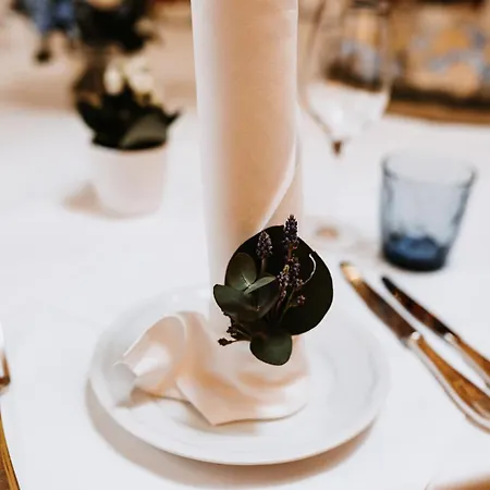 بريستول فندق